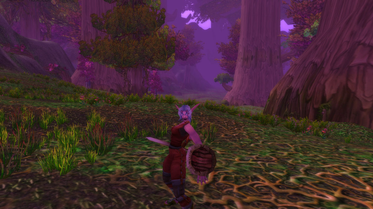 Image of an elf in WoW SoD.